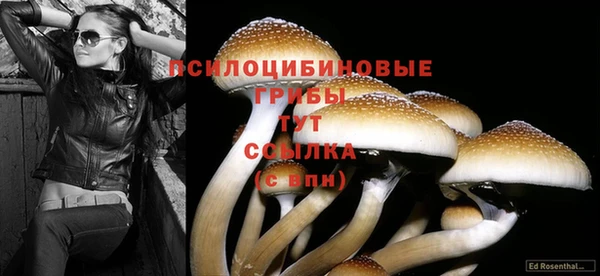 метамфетамин Абаза