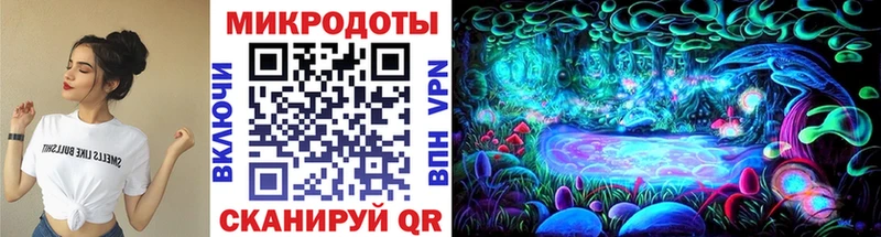 купить наркотик  Братск  Галлюциногенные грибы Cubensis 