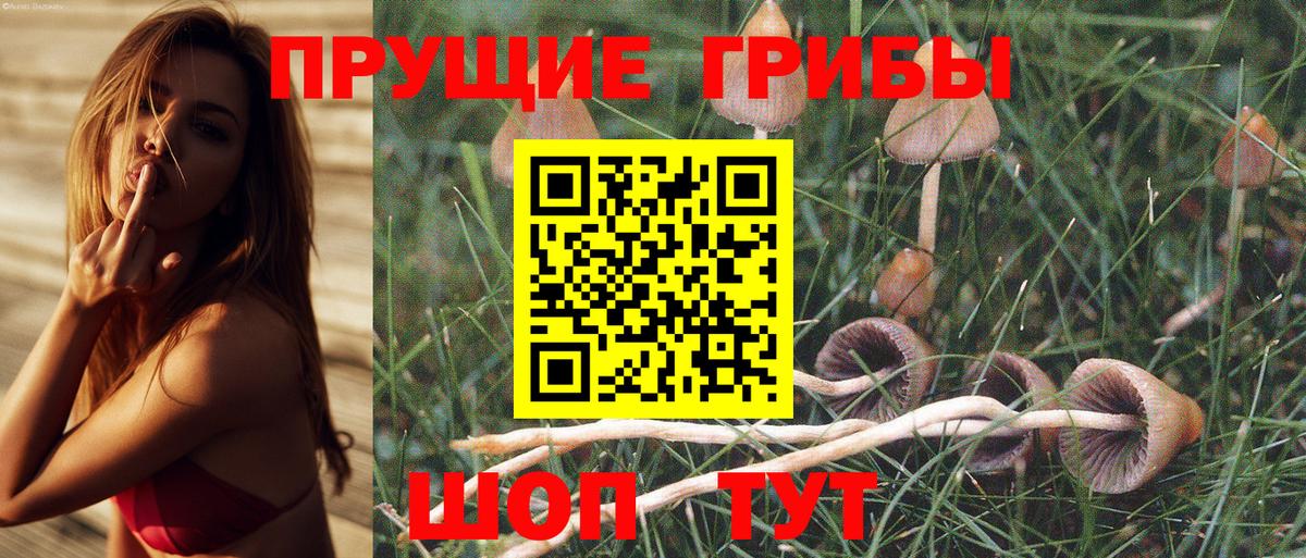 Галлюциногенные грибы MAGIC MUSHROOMS Братск