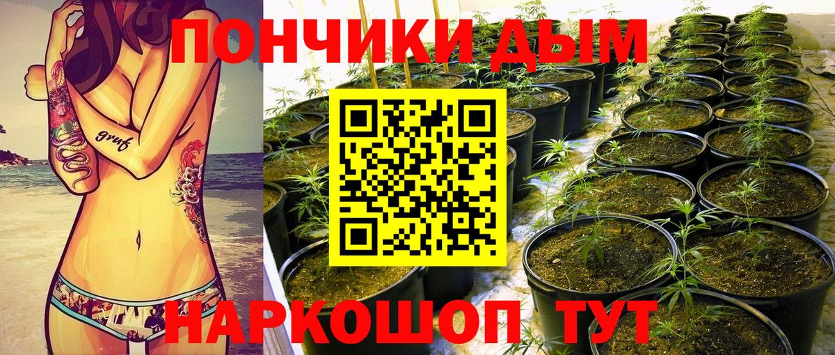 Братск  Бошки Шишки OG Kush  Бошки Шишки ГИДРОПОН  МАРИХУАНА сатива  Вход с VPN 